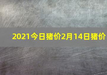 2021今日猪价2月14日猪价