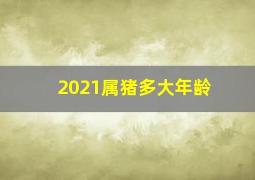 2021属猪多大年龄