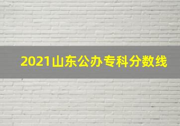 2021山东公办专科分数线