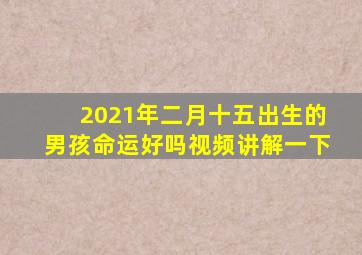 2021年二月十五出生的男孩命运好吗视频讲解一下