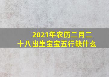 2021年农历二月二十八出生宝宝五行缺什么