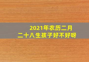 2021年农历二月二十八生孩子好不好呀