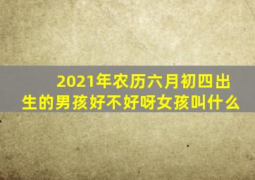 2021年农历六月初四出生的男孩好不好呀女孩叫什么