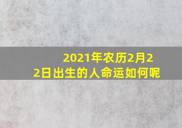 2021年农历2月22日出生的人命运如何呢