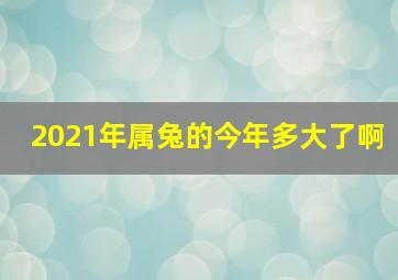 2021年属兔的今年多大了啊