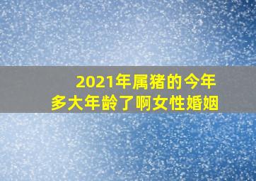 2021年属猪的今年多大年龄了啊女性婚姻