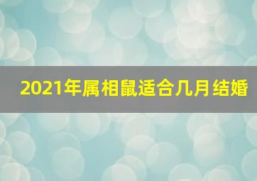 2021年属相鼠适合几月结婚