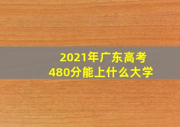 2021年广东高考480分能上什么大学