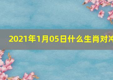 2021年1月05日什么生肖对冲