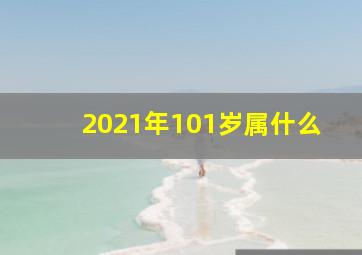 2021年101岁属什么