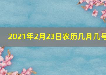 2021年2月23日农历几月几号