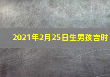 2021年2月25日生男孩吉时