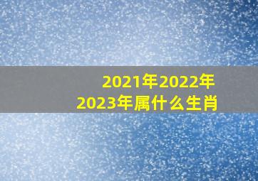 2021年2022年2023年属什么生肖