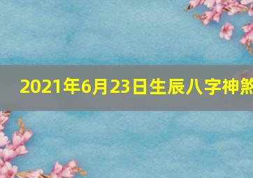 2021年6月23日生辰八字神煞