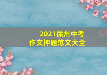 2021徐州中考作文押题范文大全