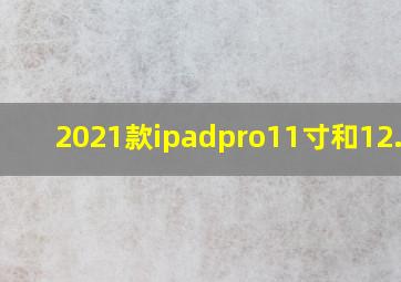 2021款ipadpro11寸和12.9寸