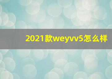 2021款weyvv5怎么样