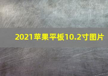 2021苹果平板10.2寸图片