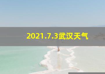 2021.7.3武汉天气