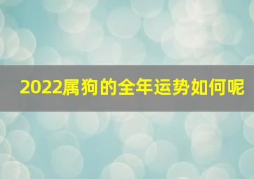 2022属狗的全年运势如何呢