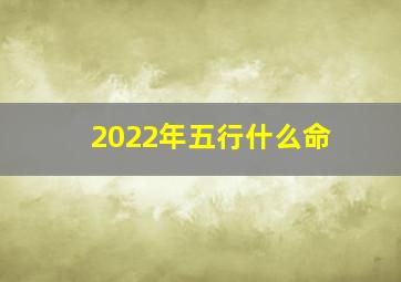 2022年五行什么命