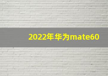 2022年华为mate60