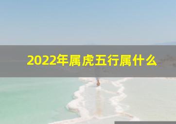 2022年属虎五行属什么