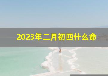 2023年二月初四什么命