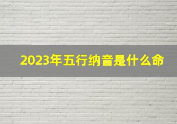 2023年五行纳音是什么命