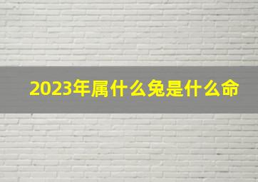 2023年属什么兔是什么命