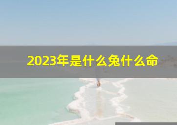 2023年是什么兔什么命