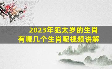 2023年犯太岁的生肖有哪几个生肖呢视频讲解