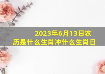 2023年6月13日农历是什么生肖冲什么生肖日