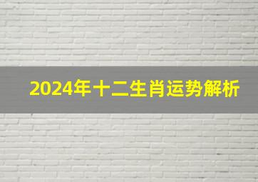 2024年十二生肖运势解析