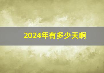 2024年有多少天啊