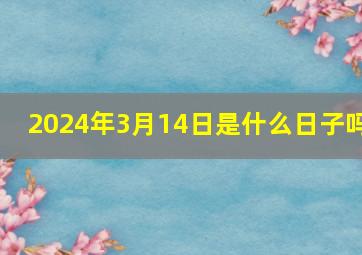 2024年3月14日是什么日子吗