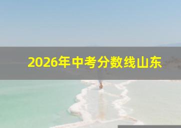 2026年中考分数线山东