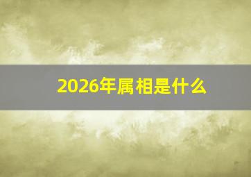 2026年属相是什么