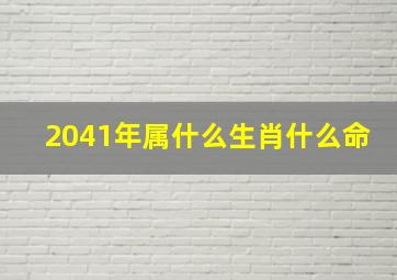 2041年属什么生肖什么命