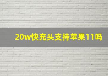 20w快充头支持苹果11吗