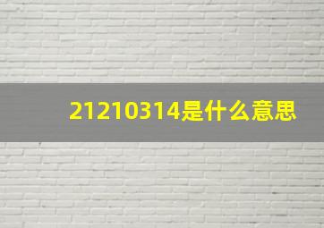 21210314是什么意思