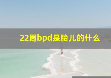 22周bpd是胎儿的什么