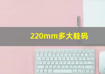 220mm多大鞋码