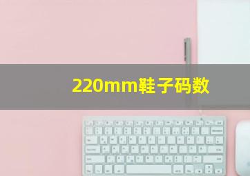 220mm鞋子码数