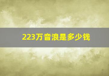 223万音浪是多少钱