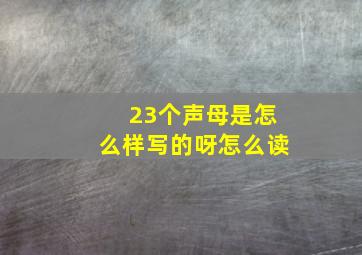 23个声母是怎么样写的呀怎么读