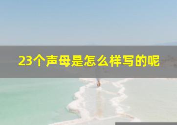 23个声母是怎么样写的呢