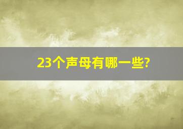 23个声母有哪一些?