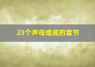 23个声母组成的音节