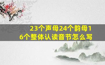 23个声母24个韵母16个整体认读音节怎么写